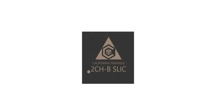 Dual-Channel Subscriber Line lnterface Circuit (SLIC)